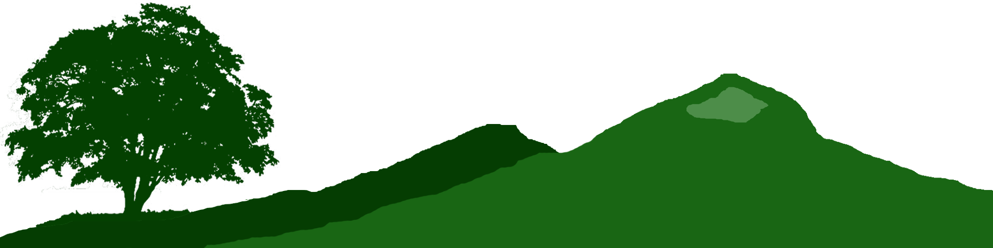 bannerF