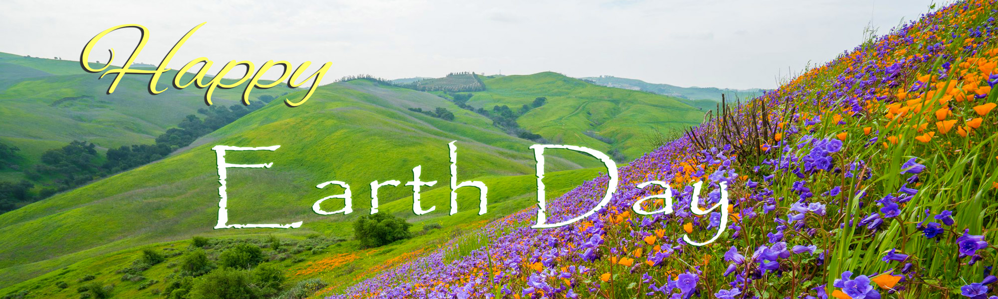 EarthD2021
