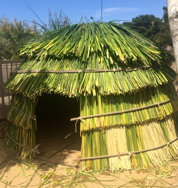 Traditional American Indian Houses